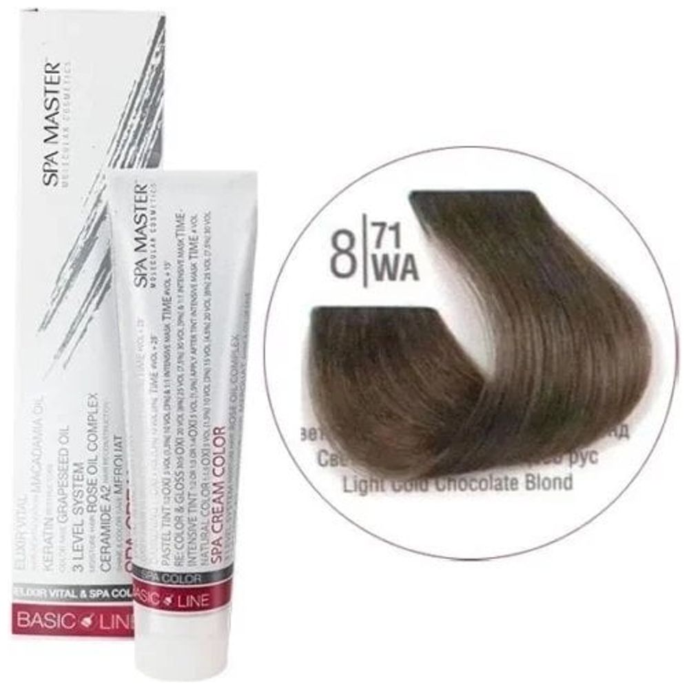 Spa Master Hair Color - أشقر شوكولاتة بارد فاتح 8/71WA + أكسجين 20 فول