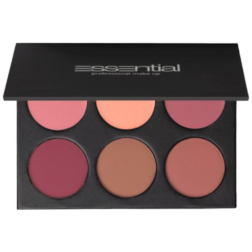 Essential blush pro hd palette face