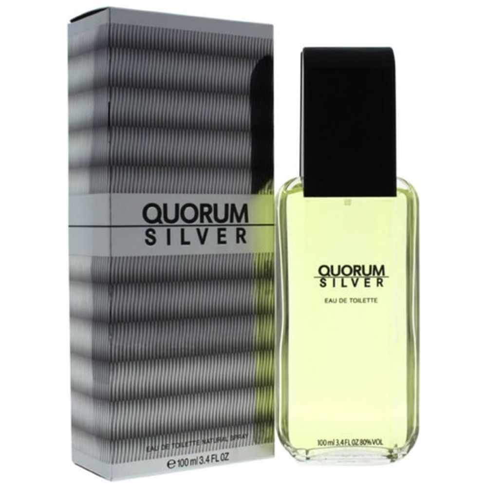 Quorum Silver by Puig for Men - Eau de Toilette, 100 ml