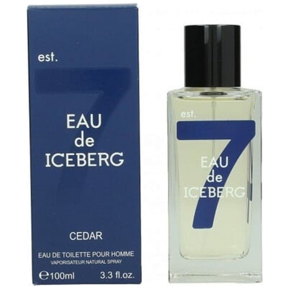 Elryan - Eau De Iceberg EDT 100 ml