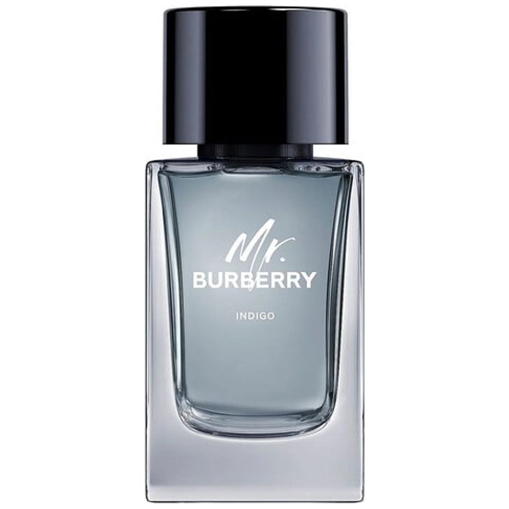 Elryan - Burberry Mr. EDP For Men - 100ml
