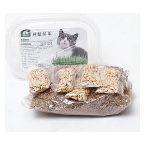  Taotaopet Cat Grass Growing Kit - 100g 