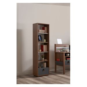  خزانة كتب نوع دیبري 