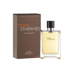  Terre D’Hermes by Hermes for Men - Eau de Toilette, 100ml 