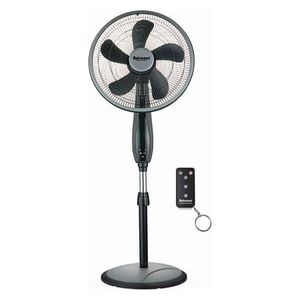 DeLmonti  DL295-BK - Stand Fan - Black