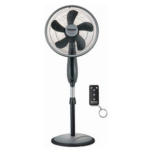  DeLmonti  DL295-BK - Stand Fan - Black 