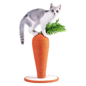  Carrot Cat Scratcher 