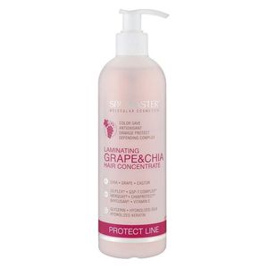  Spa Master Grape & Chia Hair Concentrate - 330 ml 