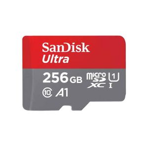 SanDisk 619659200497 - 256GB - SD Card - Gray - Red