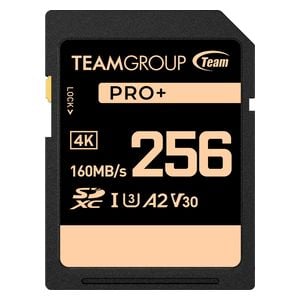بطاقة تخزين تيم جروب - TPPSDX256GIA2V3001 - بسعة 256 جيجابايت