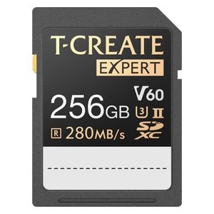 بطاقة تخزين تيم جروب - TTCSDY256GIIV6001 - بسعة 256 جيجابايت