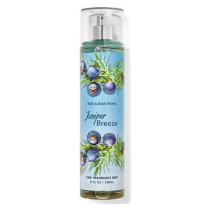  Body Mist 236 ml 