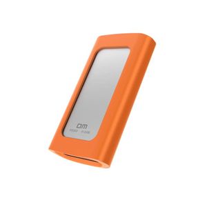  SSD هارد خارجي دي ام FS300-1TB - رمادي - 1 تيرابايت 