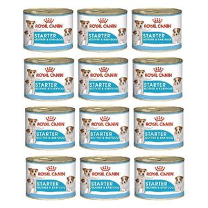  رويال كانين طعام كلاب للأم والجراء - x12 