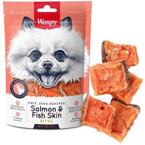  Wanpy with Salmon and Skin Fish Dog Food - 100g 