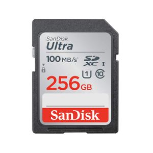  SanDisk SDSDUN4-256G-AN6IN - 256GB - SD Card - Black 