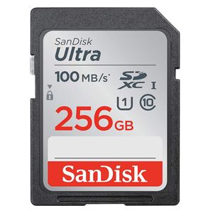 ميموري سان ديسك SDSDUN4-256G-AN6IN - اسود - 256كيكابايت