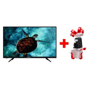  شاشة جوسونيك 32-انج فئة GLED--5032 - سمارت - HD - 50Hz - LED + ماكنة صنع القهوة جوسونيك - GCM-858 - اسود 