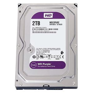  HDD هارد داخلي دبليو دي WD22PURZ - ستيل - 2تيرابايت 