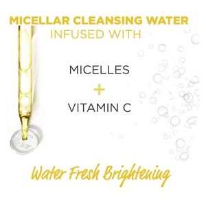  Garnier Micellar Vitamin C Perfect Makeup Remover , 400 ml 
