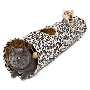  PAWZ Road x0008hyr4x - Pet Supplies - Multi Color 