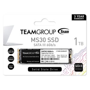 هارد داخلي تيم كروب اس اس دي - 1 تيرابايت - TEAMGROUP MS30 1TBBLACK - اسود