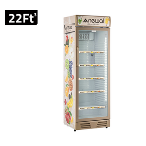  ثلاجة نوال عارضة - 22 قدم - BTL-475/04 - بيجي 