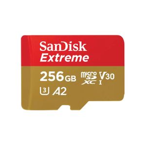 SanDisk SDSQXAA-256G-GN6MN - 256GB - SD Card - Gold