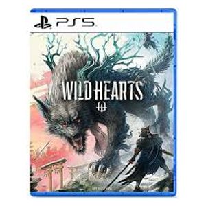  PS5 - Wild Hearts 