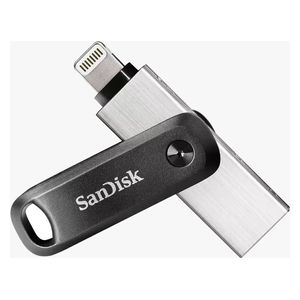 فلاش ميموري سان ديسك - 64 كيكابايت - سلفر - SDIX60N-064G-GN6NN