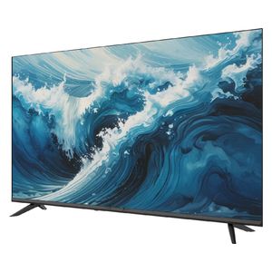  Shownic 55-Inch TP-DGU55A Series - Smart - 4K - LED - 60Hz 