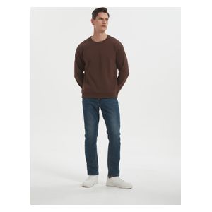  Stylish Bee Jumper for Men, L - Brown 