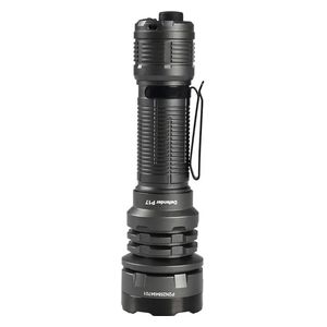  Acebeam P17 - Flashlight - Gray 