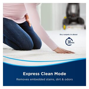  Bissell 2066E - Upright Vacuum Cleaner 