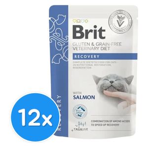 Brit Recovery with Salmon Cat Food - 12x 