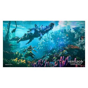 PS5 - HORIZEN FORBIDDEN WEST