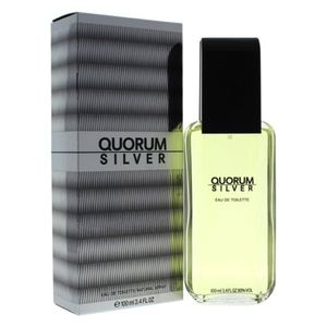  Quorum Silver by Puig for Men - Eau de Toilette, 100 ml 
