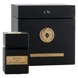  Gumin by Tiziana Terenzi for Unisex - Extrait de Parfum, 100 ml 