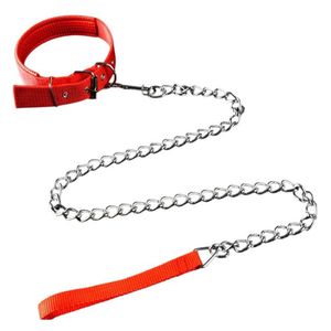 Dog Chain Leash & Collar - XL