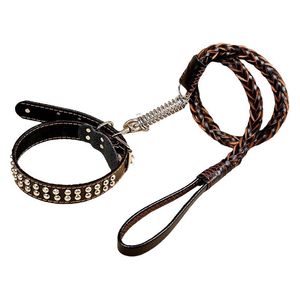  pet Leash & Collar - XL 