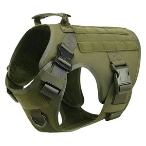  حزام الكلب التكتيكي - XL 