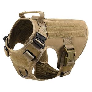  حزام الكلب التكتيكي - XL 