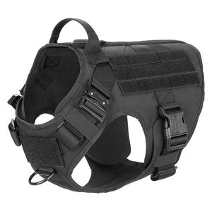  حزام الكلب التكتيكي - M 