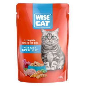  Wise Cat Duck Cat Food - 100g 