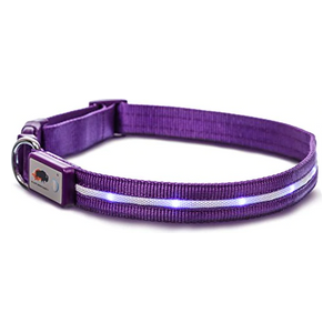 Safety LED Dog Leash - Purple