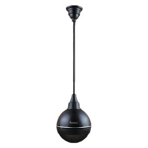 Aswar - Hanging Decorative Ceiling Speaker - 10W - 28-Inch - Black