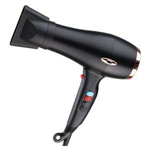  Embleme EM-HDBGC - Professional Hair Dryer, Multi-Speed Styling - 2000W - Black 
