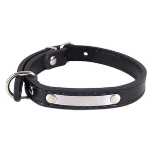 Pet Collar - M