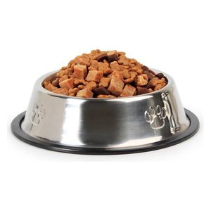  Stainless Steel Dog Food Bowl Set - 22cm 