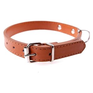 Pet Collar - M